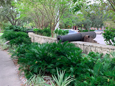 modern photo of cannon surrounded by lush plants