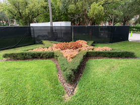 modern photo of flowers and bushes in the shape of a large star