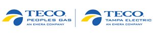 TECO-2020-logo-TEC_PGS.jpg