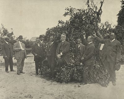 a group of well dressed African American men stand in front of an orange tree