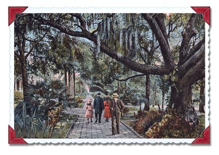 large oak tree with moss hanging from branches four people on sidewalk under the tree