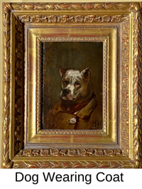Dog Wearing Coat