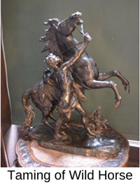 Taming of Wild Horse